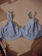Periwinkle passion