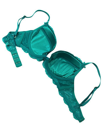 Jade plunge bra